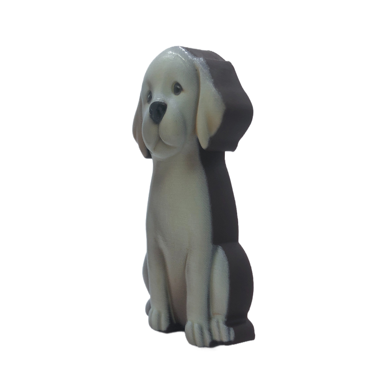 Cute Pet Paparazzi Fridge Magnet Series